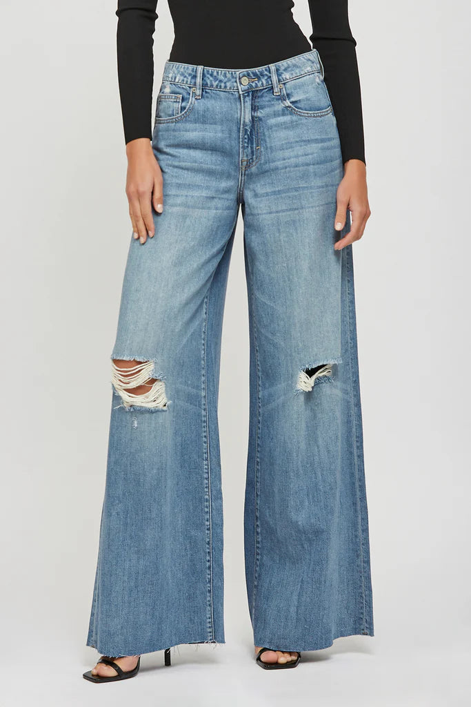Hidden Nori Jean