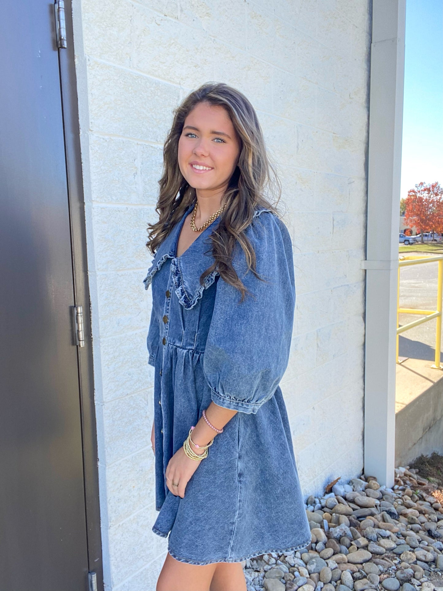Piper Peter Pan Collar Denim Dress