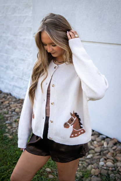 Dark Chocolate Silk Shorts