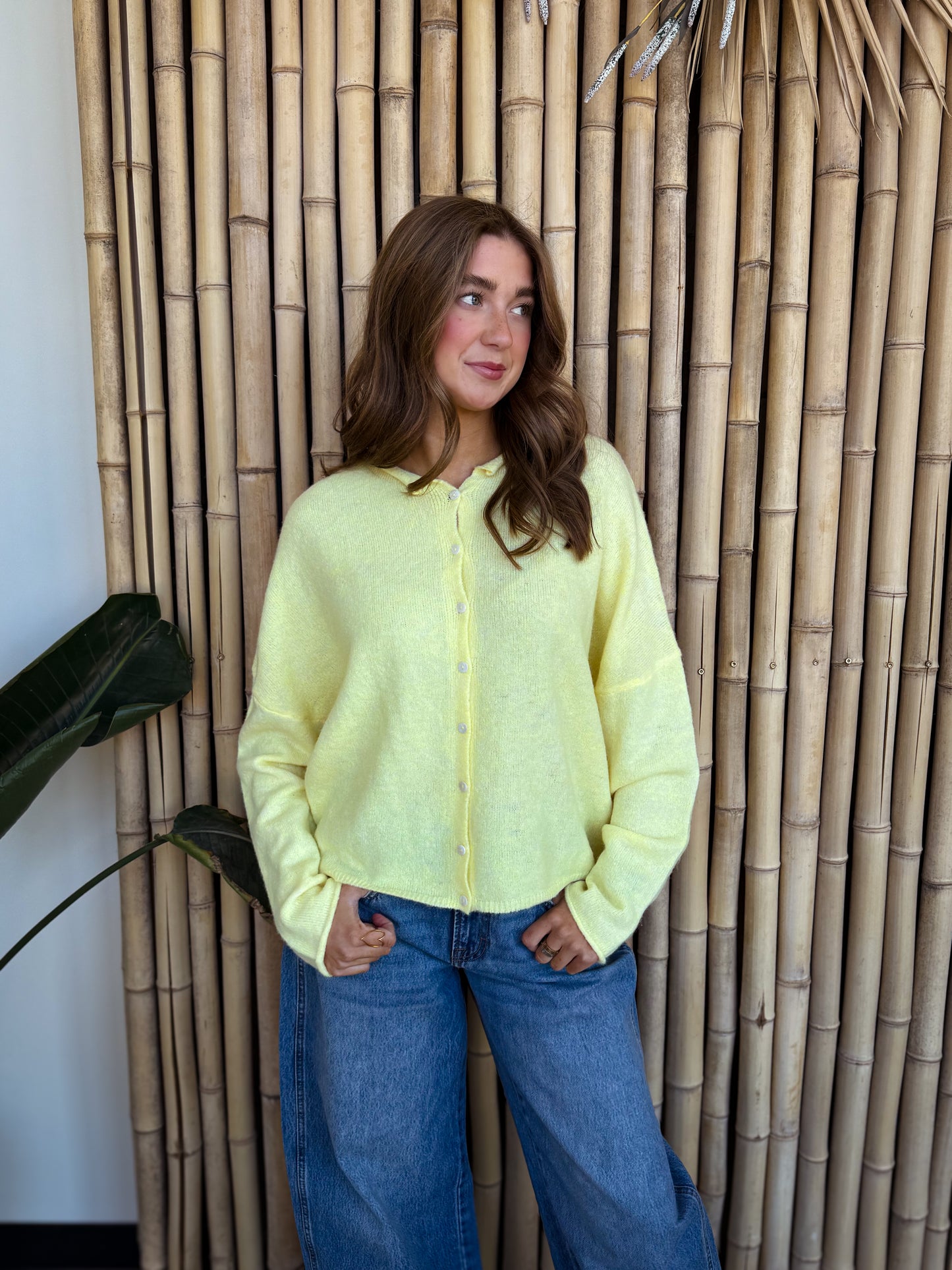 Soft yellow knit cardigan paired with vintage-wash wide-leg jeans, showcased on a model against a textured bamboo wall for a modern boutique aesthetic.