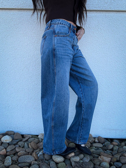 Hidden - SAMMIE - Medium Wash Clean Classic Barrel Jean