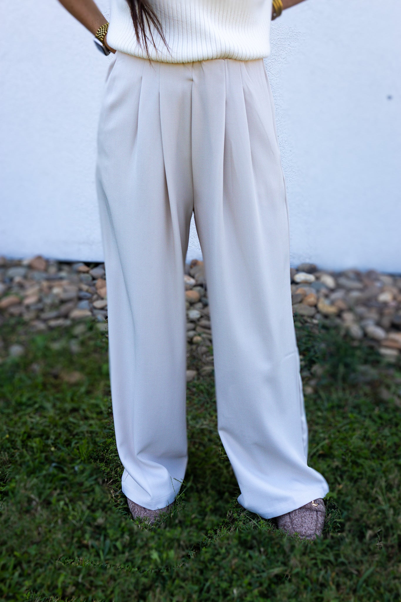 Ivory Lane Pleated Pants